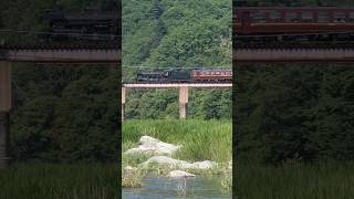 【4K縦動画】C58363 門鉄デフ！秩父鉄道・SLパレオ 荒川橋梁通過 ChichibuRailway Steam locomotive Class C58 quotPALEO EXPRESSquot [upl. by Emmie941]