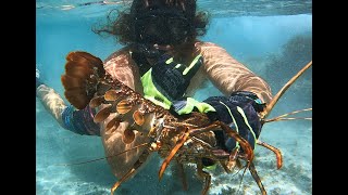 Remote Western Australia Crayfish catch and cook spearfishing foraging and amazing scenery [upl. by Edgerton182]