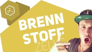 Wie funktioniert die Brennstoffzelle [upl. by Enida387]