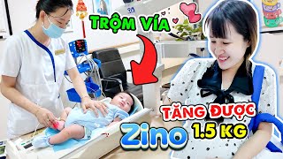 Dẫn Zino Đi Tái Khám  Trộm Vía Được Bác Sĩ Khen  Vê Vê Channel [upl. by Hillery]