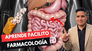 FARMACOLOGÍA✅l ABSORCIÓN GASTROINTESTINAL DE LOS FÁRMACOS l EXPLICACIÓN FÁCIL [upl. by Maria]