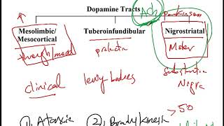 USMLE ACE Video 202 Dopamine Pathways Synthesis and Pharmacological Agents [upl. by Colburn]