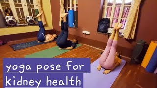 UTTANA PADASANA  YOGA POSTURE  RAISED LEG POSTURE FOR KIDNEY HEALTH [upl. by Kaspar289]