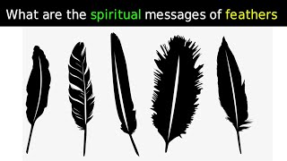 Quels sont les messages spirituels des plumes  interpretation des reves [upl. by Esinereb]