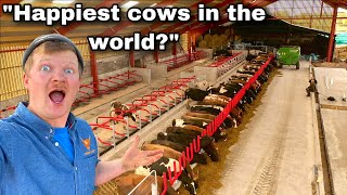 THE WORLDS BEST COW SHED IS OPEN [upl. by Giannini]