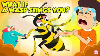 Are Wasp Stings Dangerous  What if a Wasp Stings You  How to Treat a Wasp Sting  Dr Binocs [upl. by Tserrof363]