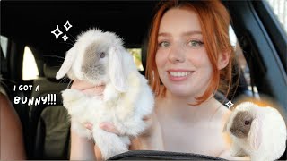 GETTING MY DREAM PET first 72 hours with baby mini lop bunny [upl. by Laux]