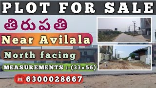 తిరుపతి PLOT FOR SALE Near Avilala 30 feet road 🛣️ Total 53Ankanams ☎️ 6300028667 📞 8555926756 [upl. by Kcub]