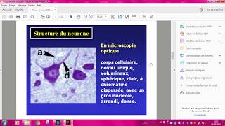 Histologie [upl. by Donica]