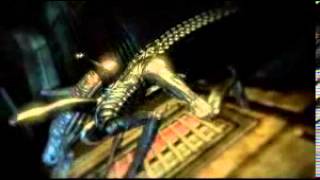 Aliens vs Predator  Xenomorphs [upl. by Livvy]