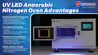 Customized UV LED AnaerobicNitrogen Curing Oven [upl. by Noryd]