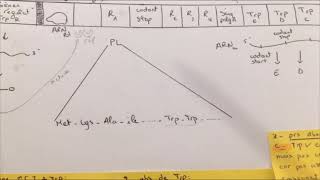 Régulation  Opéron trp 🧬 [upl. by Ahsiuqat]