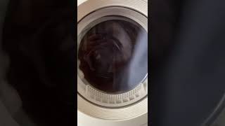 Tumble Drying clothes with Dryer Balls Clothes dryer [upl. by Ripley]