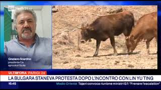 Rainews24 intervista Scardino sulla siccita in Sicilia [upl. by Novaat]