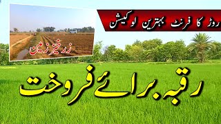 Agriculture land for sale in Punjab Pakistan  Zameen for sale in Pakistan  Episode 55 [upl. by Terese372]