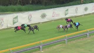 Capalaba10122023Race9 [upl. by Casanova]