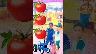 Rounding tomato to AltoRollar Jcb amp Tractor  Vehicle names magic video [upl. by Acinemod540]