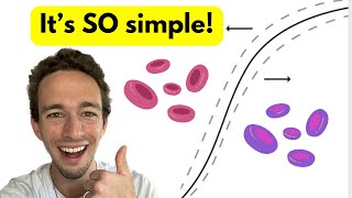 OxygenHemoglobin Dissociation Curve  EASY Explanation with visuals [upl. by Loella]