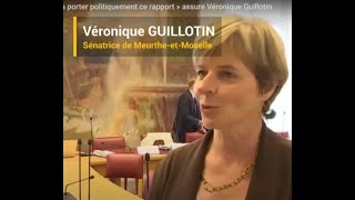 Véronique GUILLOTIN Sénatrice Radicale de MeurtheetMoselle interrogée par Public Sénat [upl. by Roberta669]