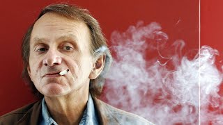 Michel Houellebecqs quotSerotoninquot  Book Review [upl. by Buroker]