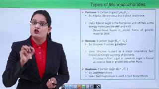 Biomolecules  Monosaccharides [upl. by Nanji]