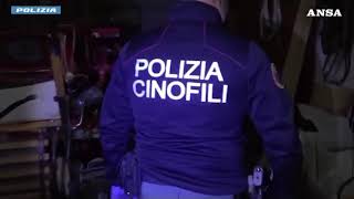 Mafia ed estorsioni nel Ragusano sette arresti [upl. by Enilekaj]