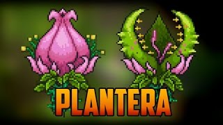 Como encontrar Plantera  Terraria [upl. by Rodama]