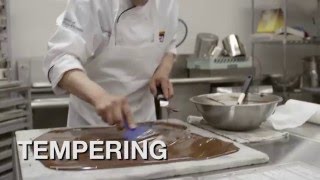 Chocolate BeantoBar in 60 Seconds [upl. by Fleta]