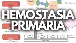 HEMOSTASIA PRIMÁRIA HEMATOLOGIA [upl. by Aitnis451]