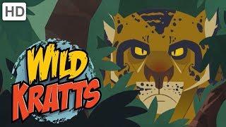 Wild Kratts  The Deadliest Felines in Nature [upl. by Waki]