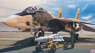 172 TOMCAT F14A IRIAF Fine Molds Review [upl. by Anesor]