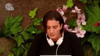 Tomorrowland 2013  Alesso Years  live HD [upl. by Lauro802]