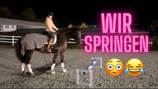 ICH werde SPRINGREITERIN😳😂 I Vlog [upl. by Hylan421]