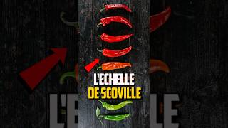 COMMENT FONCTIONNE L’ÉCHELLE DE SCOVILLE [upl. by Heurlin202]