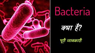 What is Bacteria with Full Information – Hindi – Quick Support [upl. by Nnaeiram87]