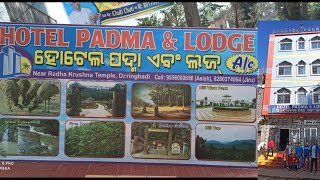 Best hotel in Daringbadi  Hotel Padma Cheapest hotels in Daringbadi Hotels with phone number [upl. by Aicinod]