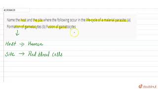 Name the host and the site where the following occur in the lifecycle of a malarial parasite a F [upl. by Omle]