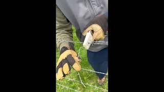 How To Repair Barbed Wire Fence Using A Long Nose Vise Grip [upl. by Berlauda123]