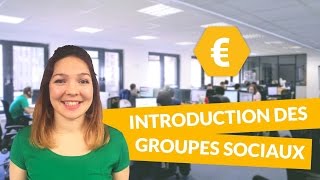 Introduction des groupes sociaux  Economie  Première ES  digiSchool [upl. by Yekciv79]