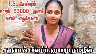 காளான் வளர்ப்பு  Kaalan valarppu in tamil  Mushroom farming start to harvest process JP Tamil Tv [upl. by Sowell]