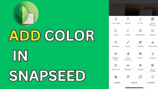 How to Add Colors in Snapseed 2024 [upl. by Sanfred]