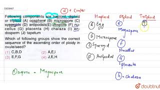 Following components are haploid diploid or triploid A oosphere B microsphere [upl. by Thorbert]