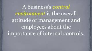 Introduction to SOX and Internal Controls [upl. by Chimene439]