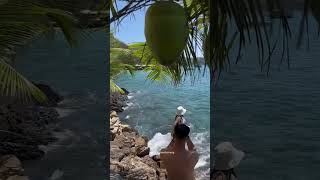 Mini Beach  Hòn Tằm Nha Trang travel nhatrang minibeach hontamnhatrang viralvideo [upl. by Kajdan]