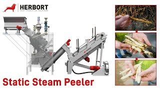 Herbort Static Steam Peeler  Salsify Processing Line [upl. by Elledoj]