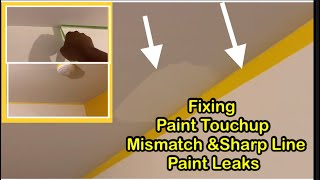 Paint Problems Solved The Ultimate Guide to Fixing Paint Touch ups Peeling amp Leaks like a Pro [upl. by Aifoz]