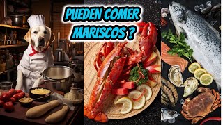 ¿Pueden los perros🐶🐕‍🦺 comer mariscos🍤🦪 [upl. by Hicks612]