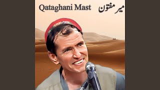 Qataghani Mast [upl. by Ayotal]