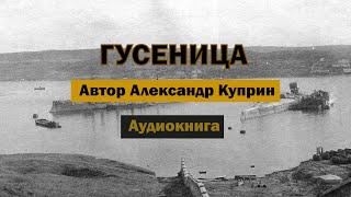 Гусеница АКуприн Аудиокнига аудиокнига аудиокниги куприн роман рассказ бесплатно [upl. by Arua]