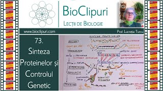 73 Sinteza proteinelor si controlul genetic Barrons [upl. by Nadual]